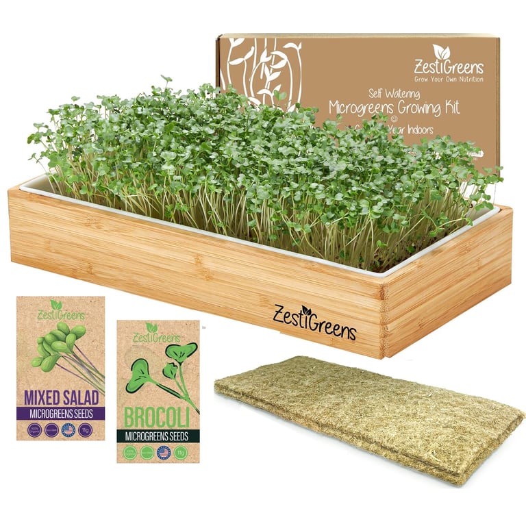 Zestigreens Microgreens Growing Kit