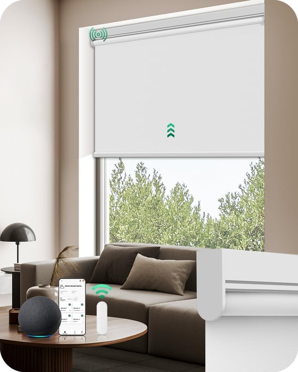 Allesin Motorized Blackout Blinds
