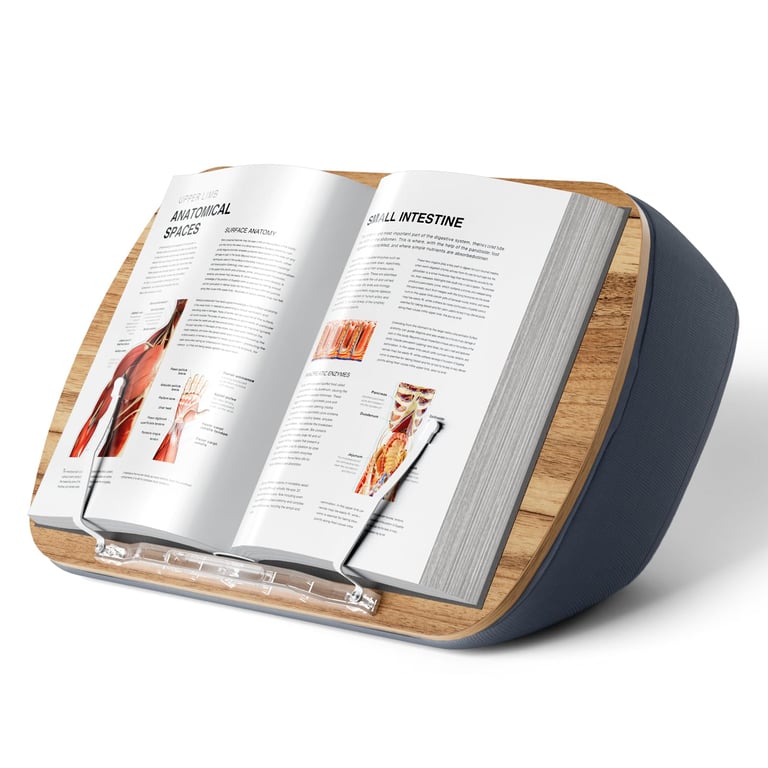 Ergonov Lap Beanbag Book Stand