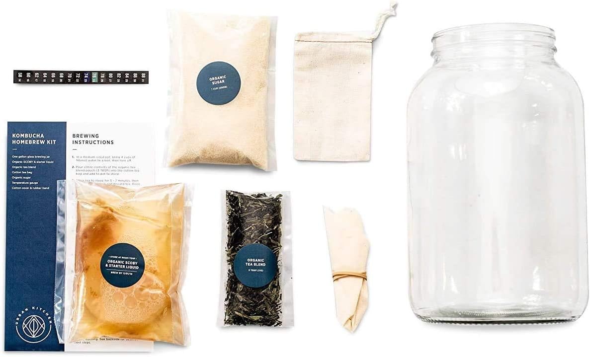 Urban Kitchen Kombucha Starter Kit