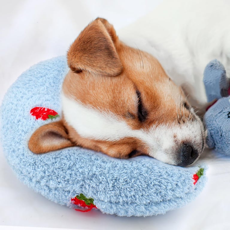 Mity rain Calming Dog Pillow