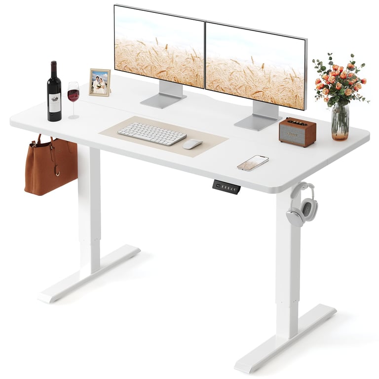 FEZIBO 48 x 24 Electric Standing Desk