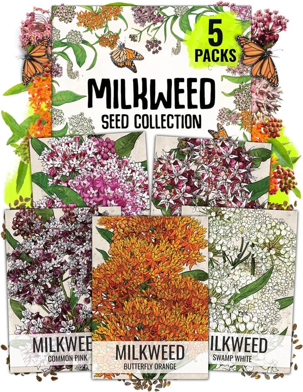 Seed Needs Milkweed Seed Variety Pack