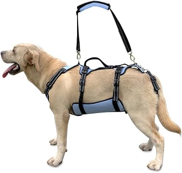Coodeo Dog Lift Harness