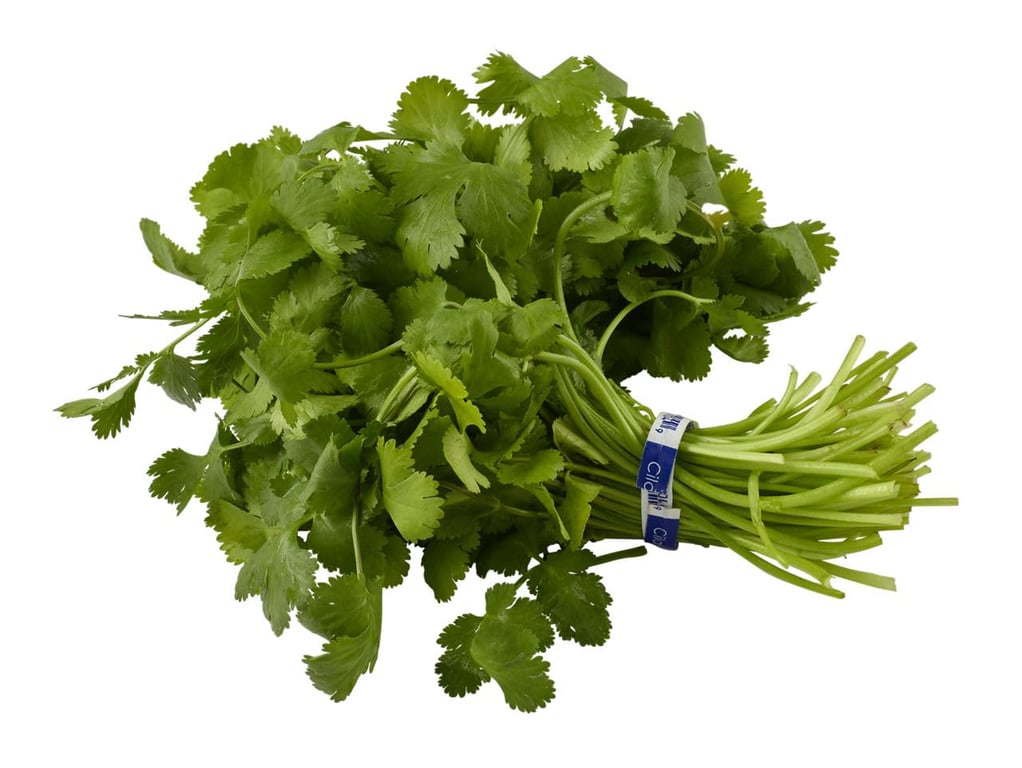 Natures Reward Cilantro