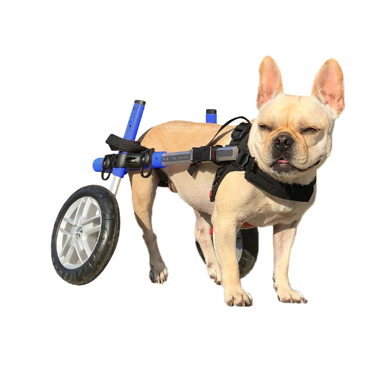 Walkin' Wheels Small Dog Wheelchair