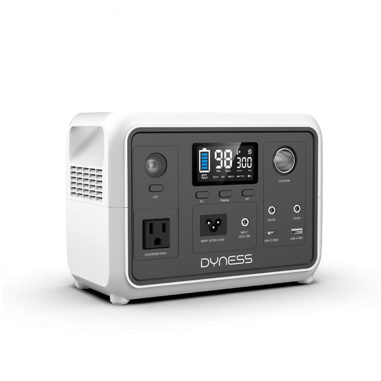 Dyness 300W