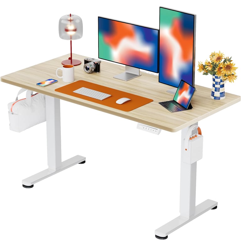 ErGear 48-inch Electric Standing Desk