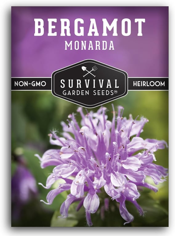 Survival Garden Bee Balm Seeds