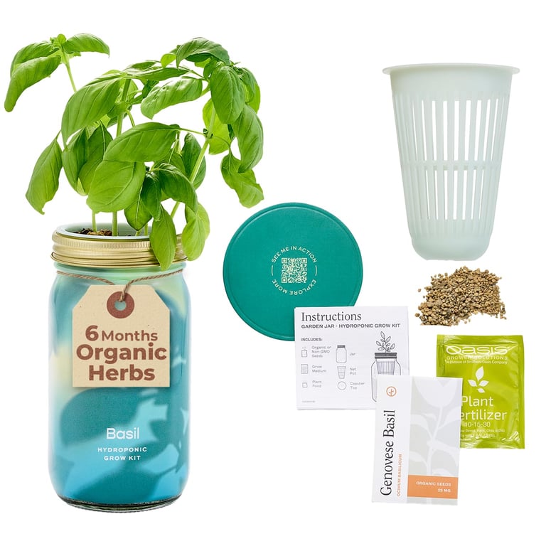 Modern Sprout Basil Garden Jar
