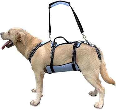 Coodeo Dog Lift Harness