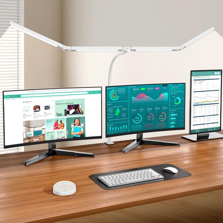 Pzloz LED Desk Lamp