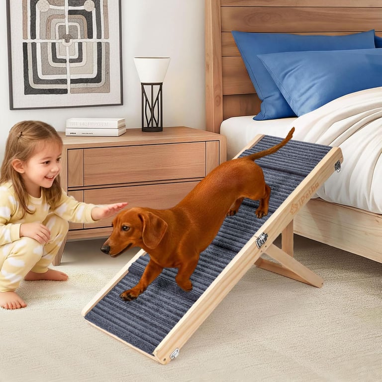 iPetba Foldable Couch Ramp