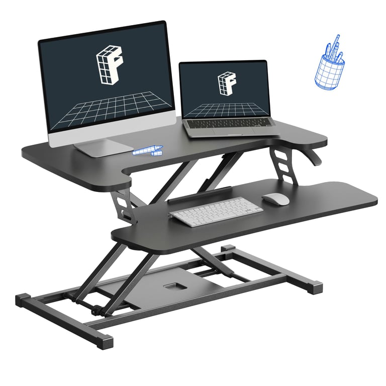 FLEXISPOT