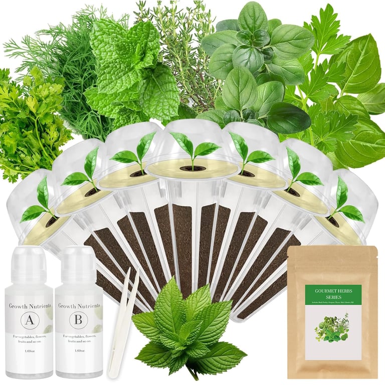 Apoloseedic 7-Pod Herb Seed Kit