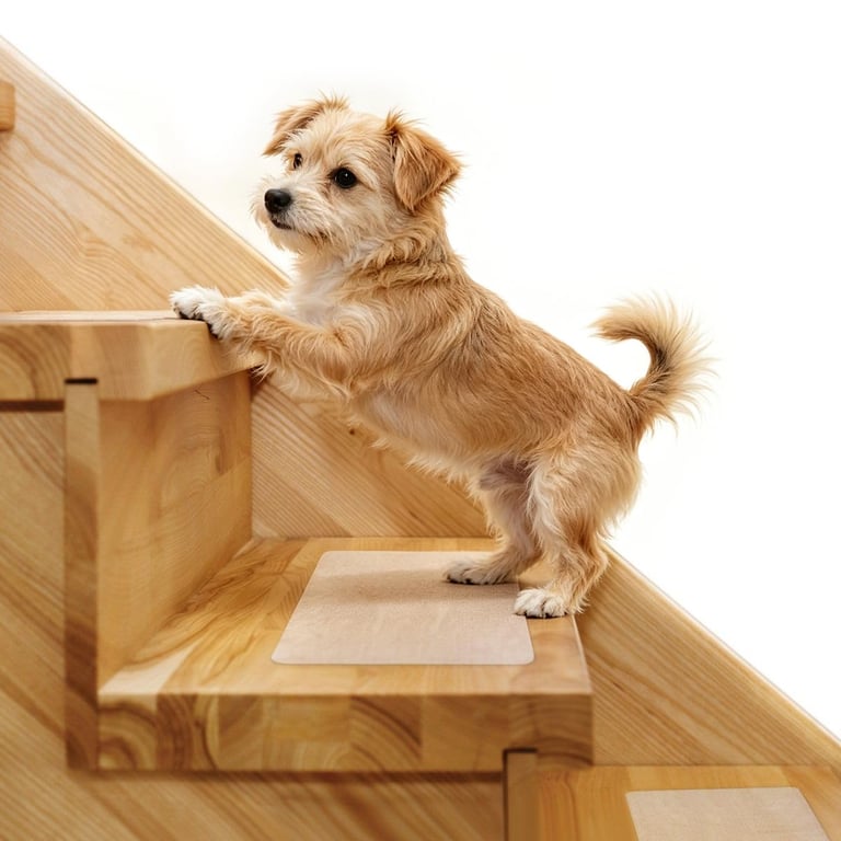 Butizone Clear Stair Treads