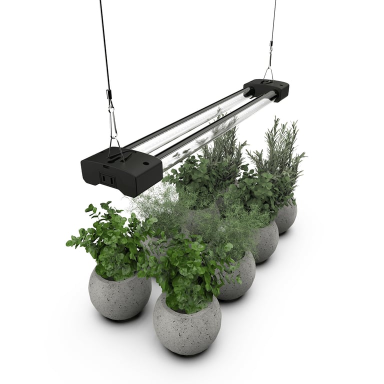 DYMOND BoostGro