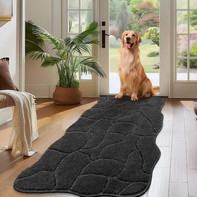 BSICPRO Large Dog Door Mat