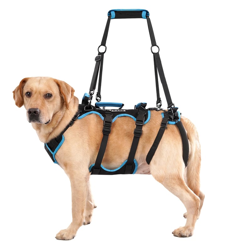 Lafoty Large Dog Lift Harness