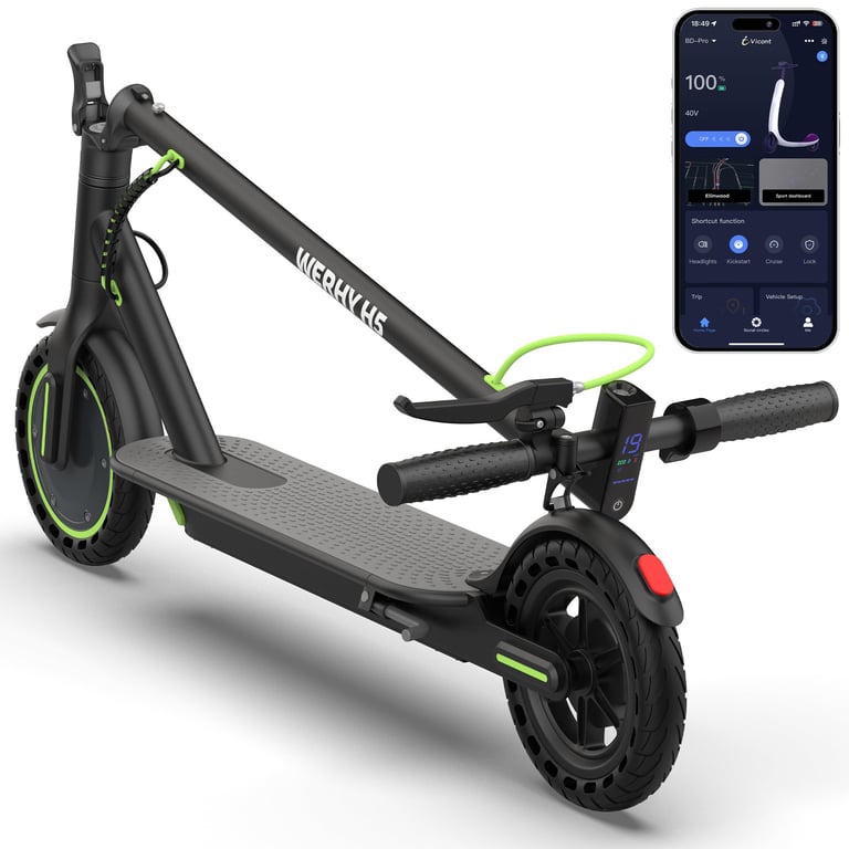 Werhy Folding Electric Scooter