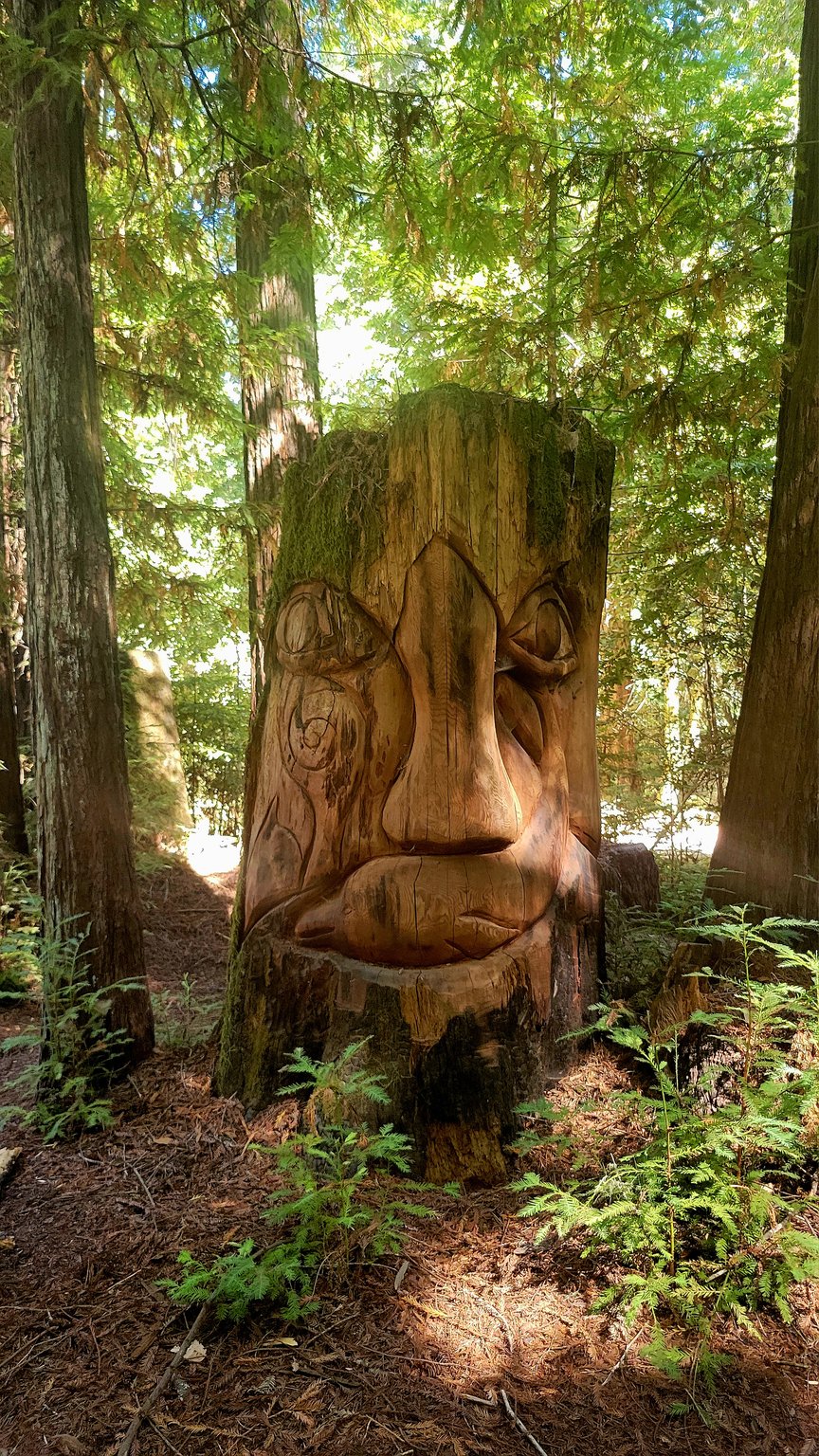 Camp Navarro Tree Face