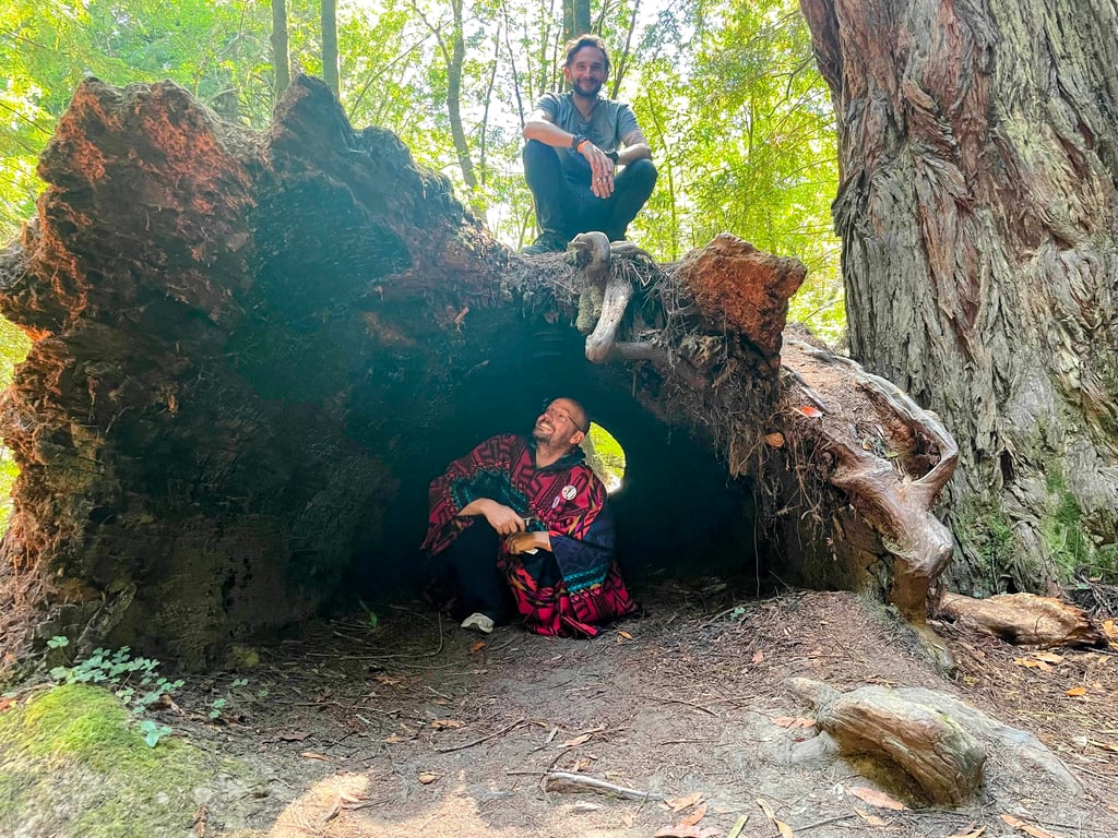 Band Cover