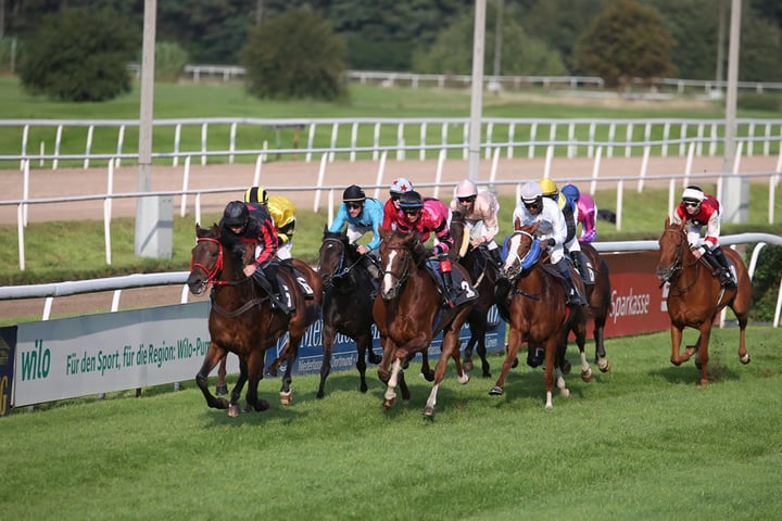 Dauerkarte 2026 Grasbahn Renntage 