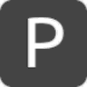 Pinggy.io logo