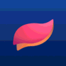 PlayKit logo