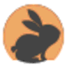 CodeRabbit logo
