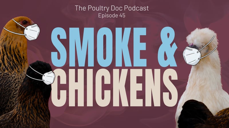 Smoke & Chickens