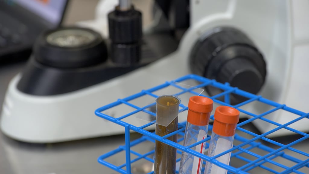 Modified Wisconsin Slide with Fecal Sample