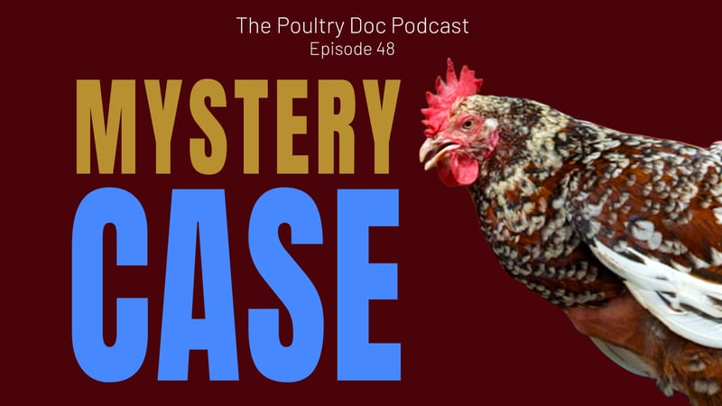 What's Wrong with my Chicken?