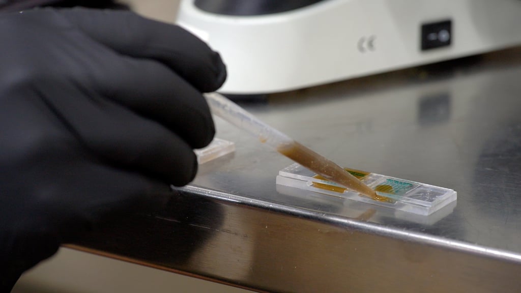 McMasters Slide Prep for Fecal Sample