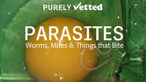 Parasites