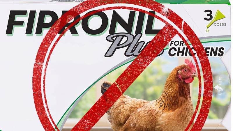 Do not use Frontline in Chickens
