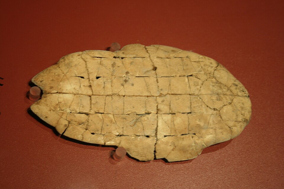 Shang Tortoise plastron with divination inscription