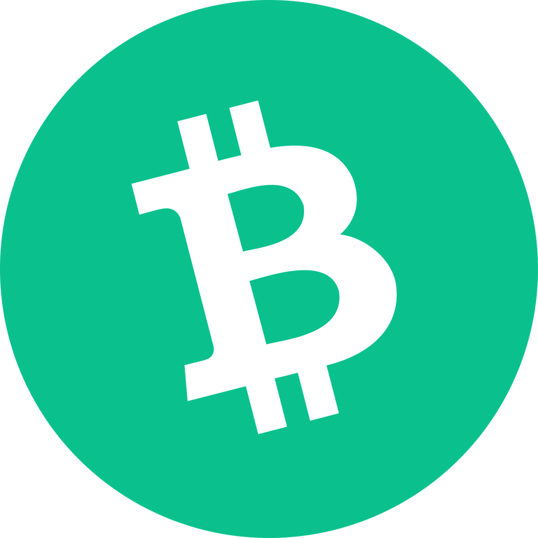 Synthetic Bitcoin Cash (devnet)-(-fBCH_d-)-token-logo