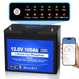 12V 100Ah DC House
