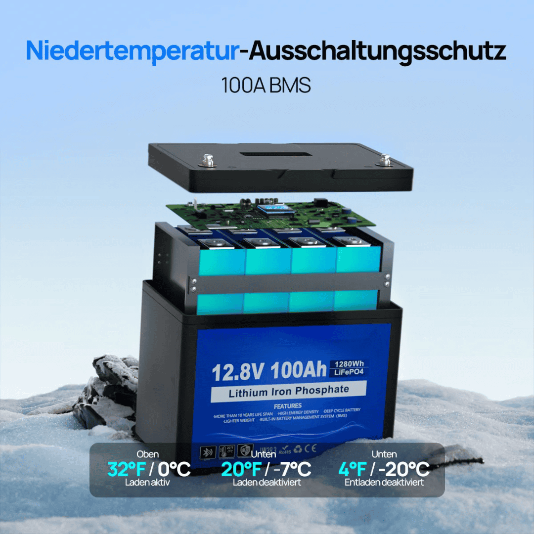 12V 100Ah LiFePO4 - Technik