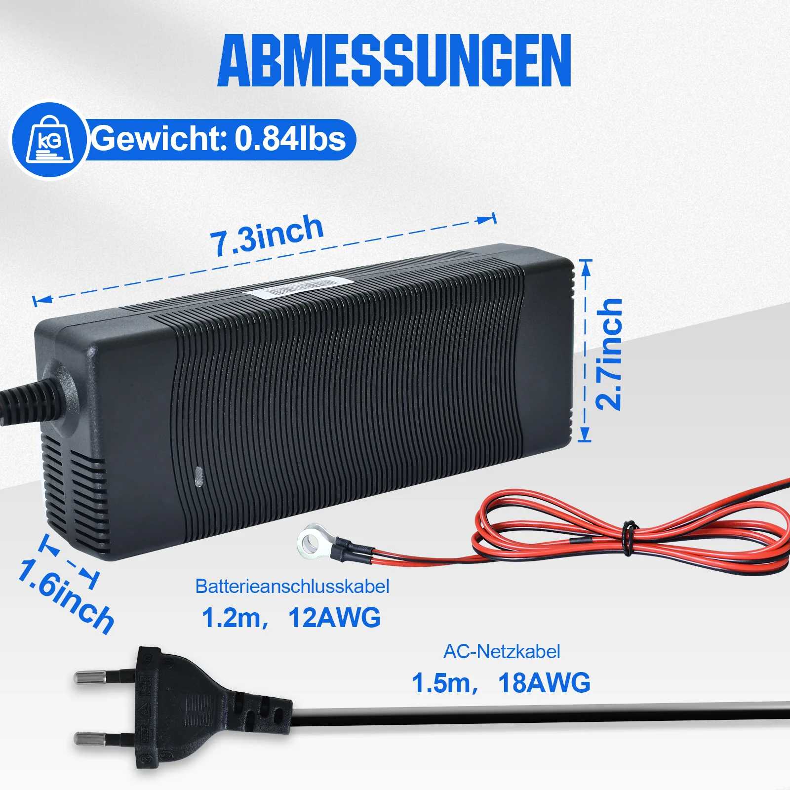 12V 10A charger