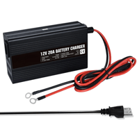 12V 20A laturi