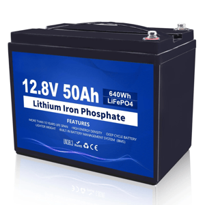 12V 50Ah DC House