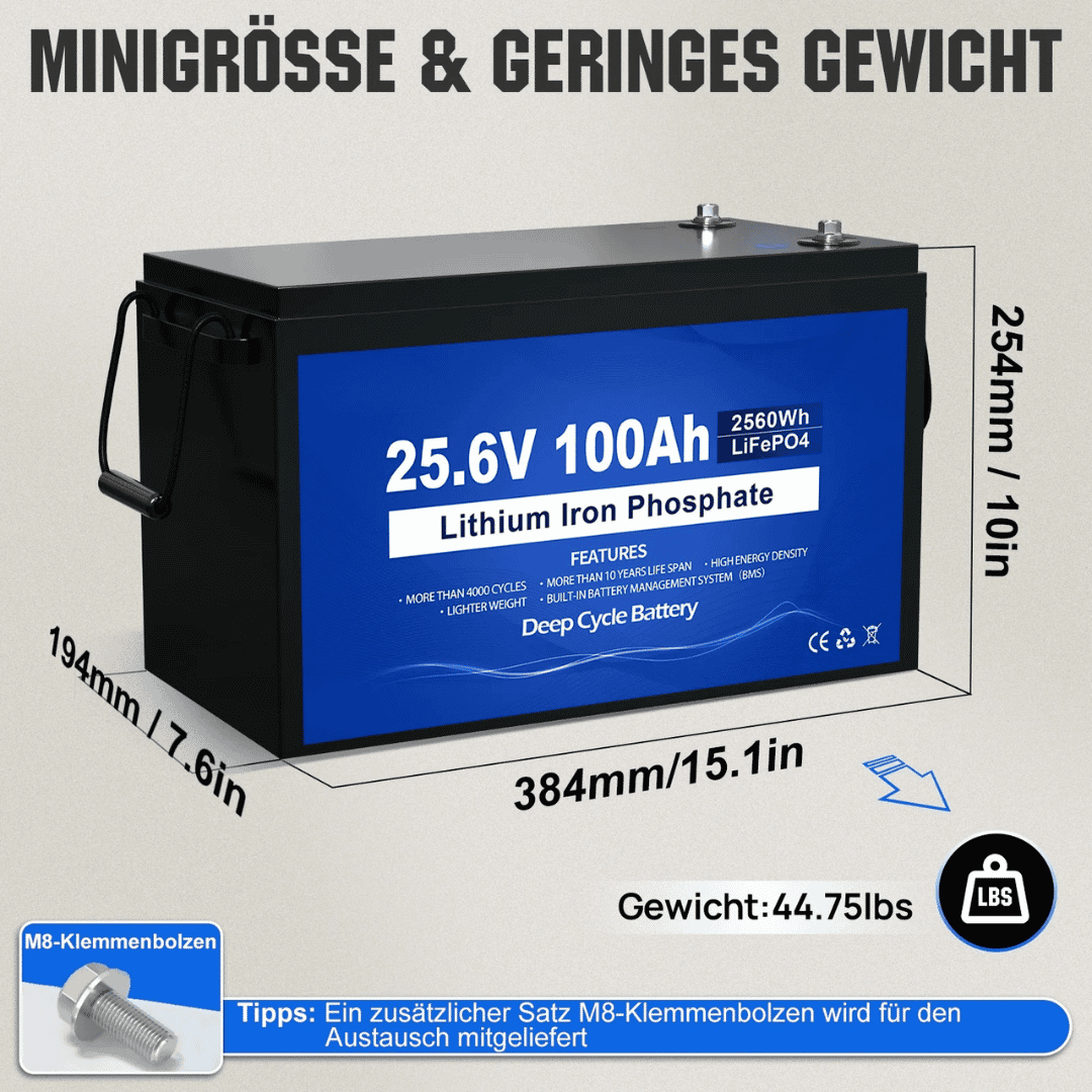 Handling der günstigen 24V 100Ah