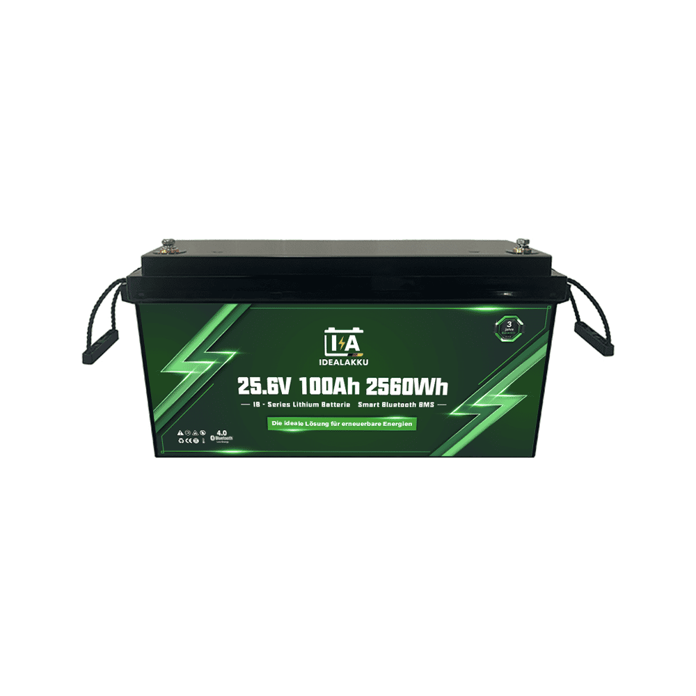 Handling der günstigen 24V 100Ah