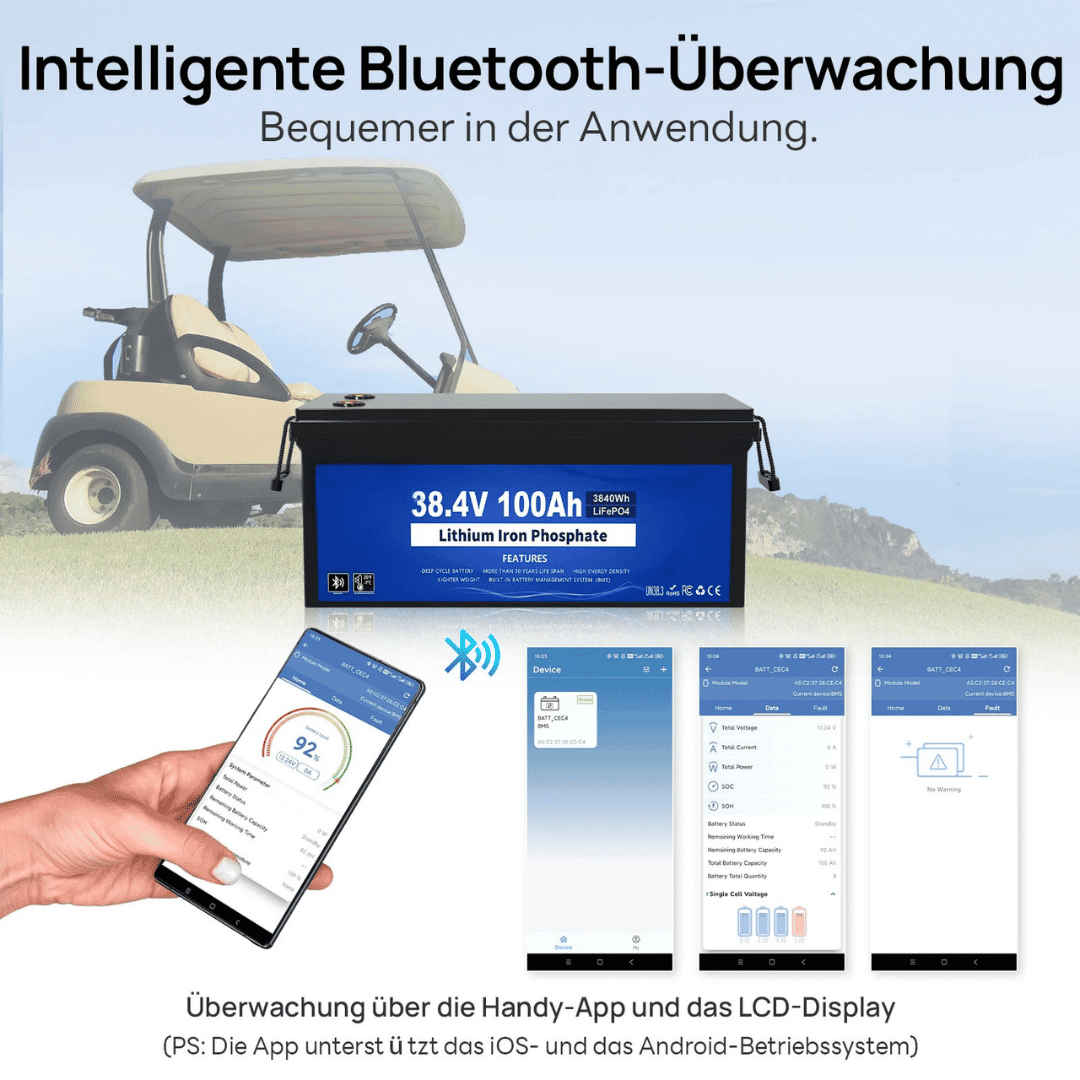 36V 100Ah with Bluetooth and app