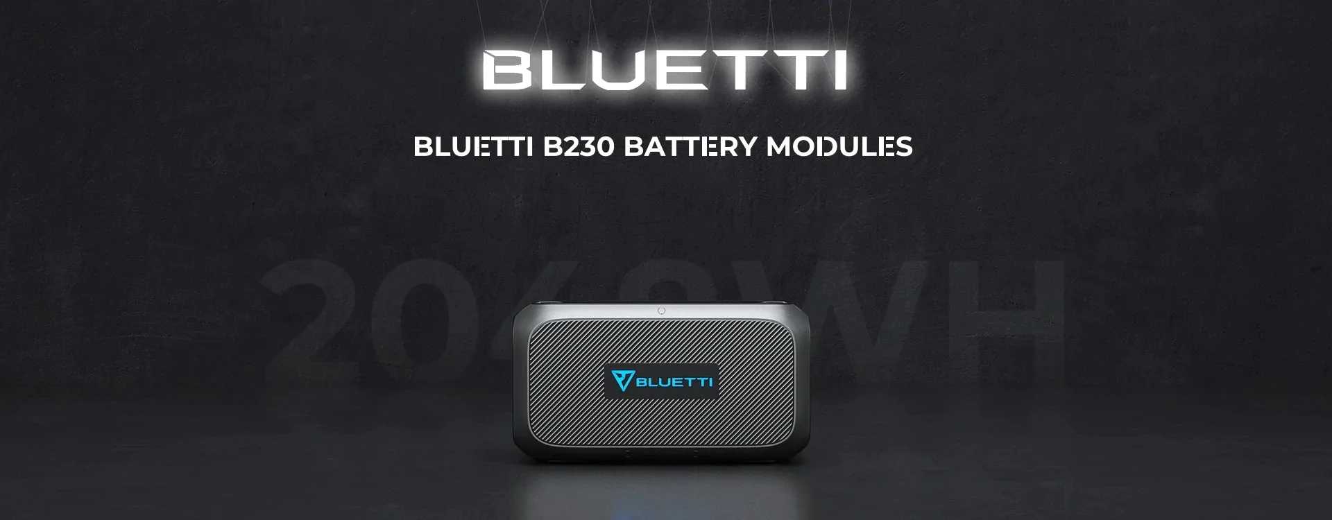 BLUETTI B230