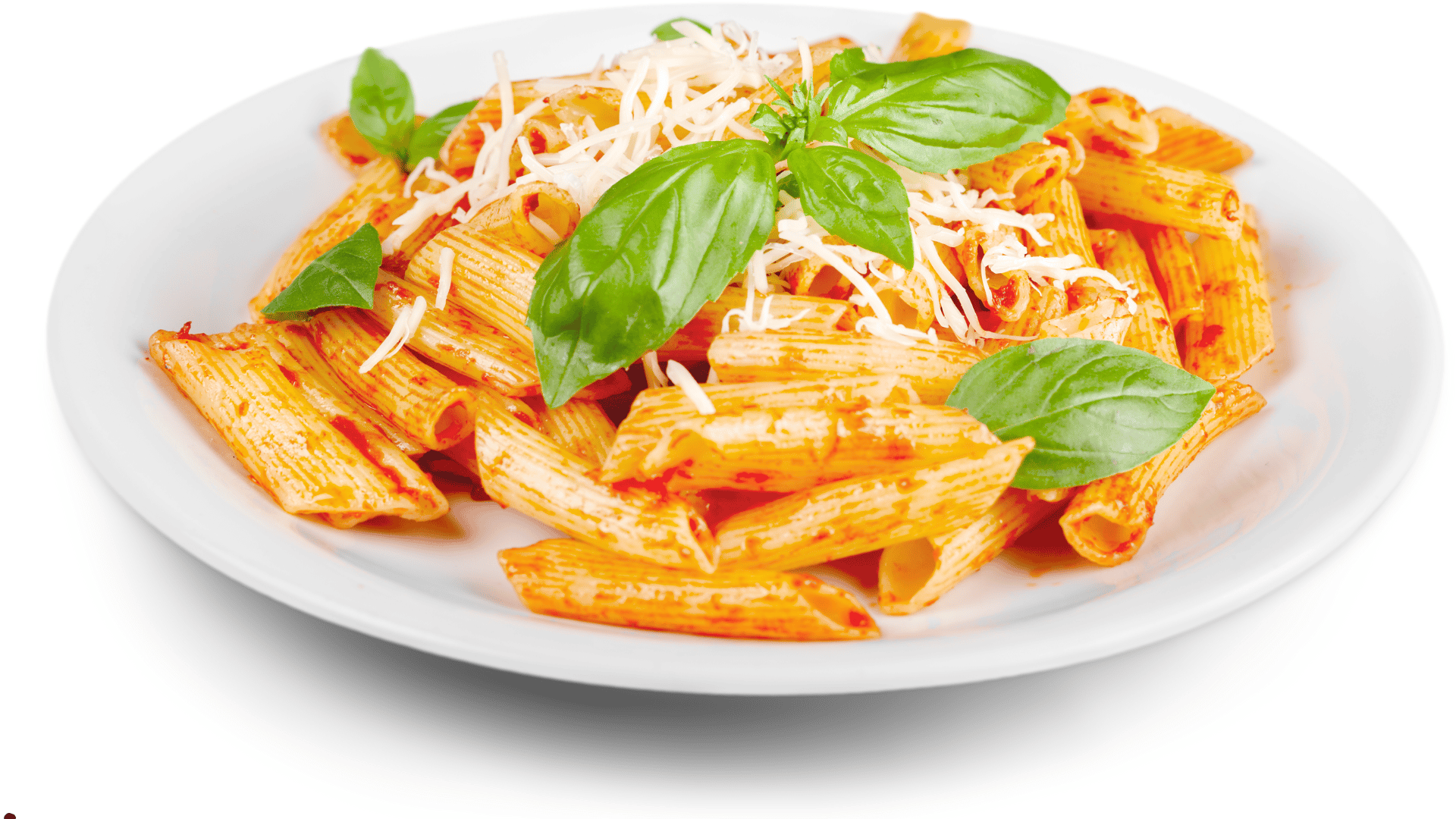 SARO Elektronudelkocher PASTA 25 Ideal geeignet für: