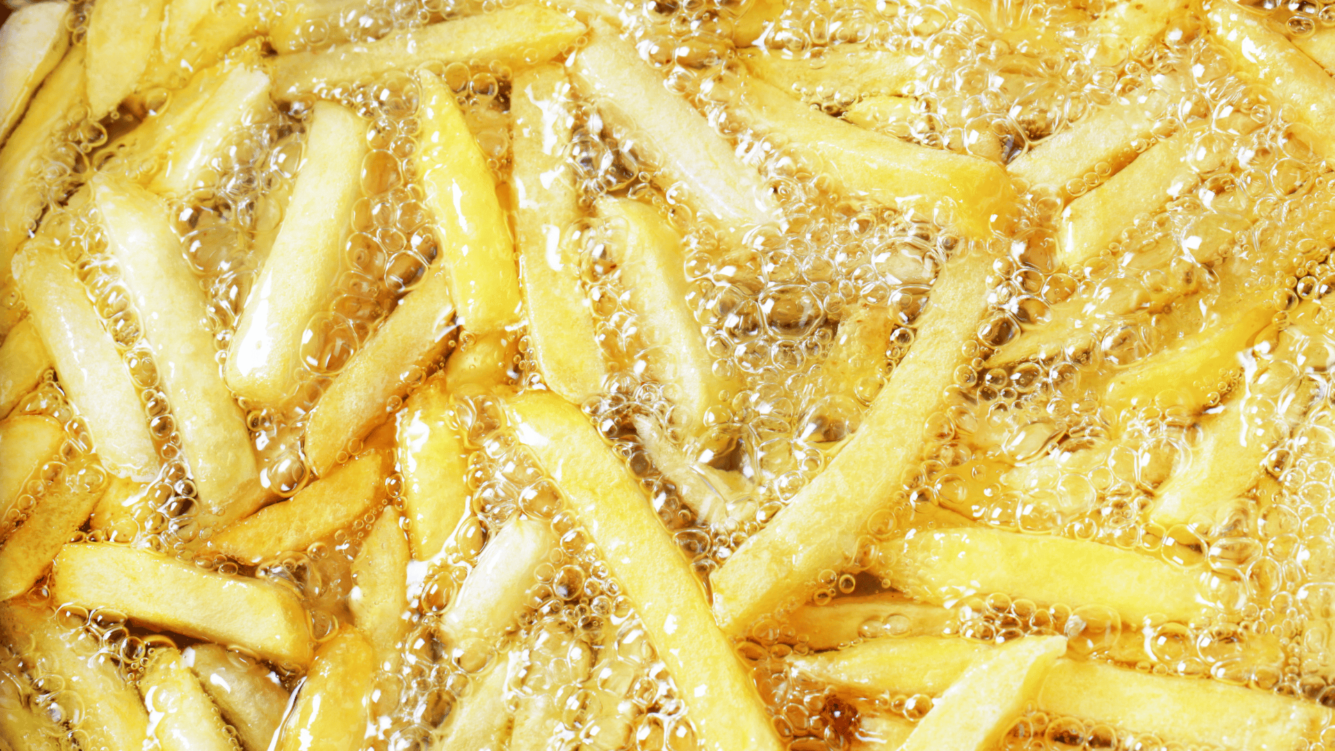 SARO Fritteuse GASTROLINE 12VS Ideal geeignet für: