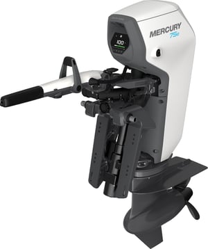 Mercury Avator 75e Pinne